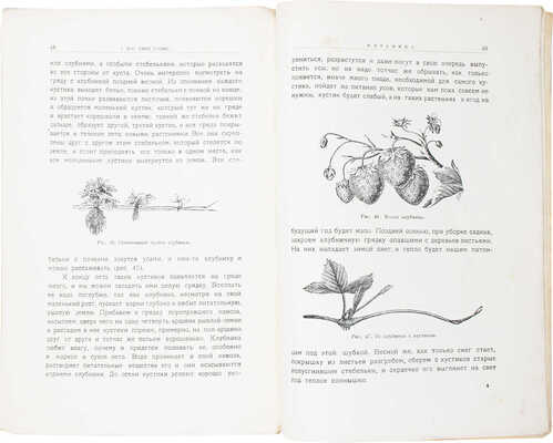 Ельманов Н., Ельманова Е. У нас свой садик. Рассказы для младшего возраста. С 48 рис. / Обл. худож. Оскара Клевера. М.: Изд. Комиссии по улучшению жизни детей при В.Ц.И.К. и кооперативного изд-ва «Жизнь и знание», 1924.